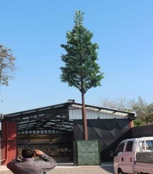 Камуфлированная сосновая башня